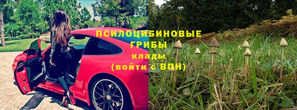 наркотики Приозерск